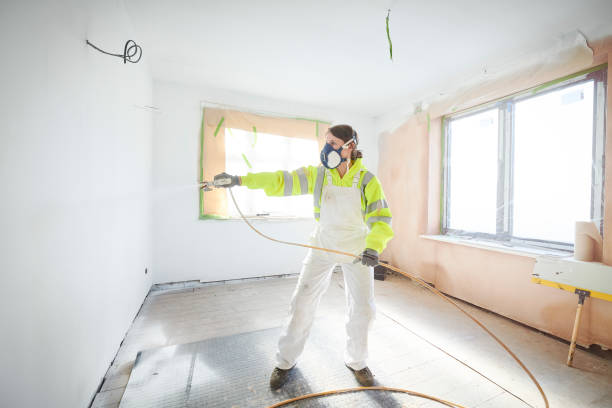 Best Emergency Mold Remediation  in Horace, ND