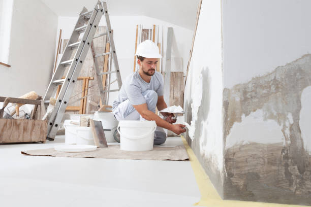 Best Attic Mold Removal  in Horace, ND