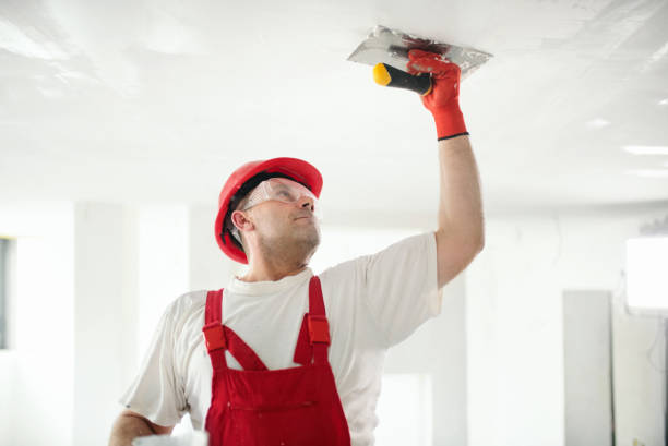 Best Forensic Mold Investigation  in Horace, ND