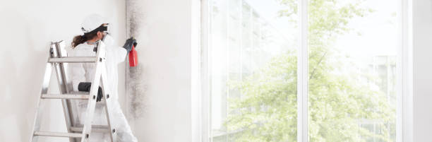 Best Mold Prevention Services  in Horace, ND