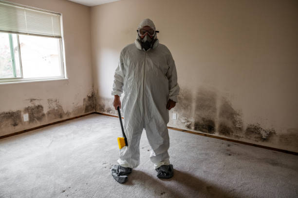 Best Mold Remediation for Healthcare Facilities  in Horace, ND